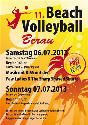 Plakat volleyball 2013 web Small